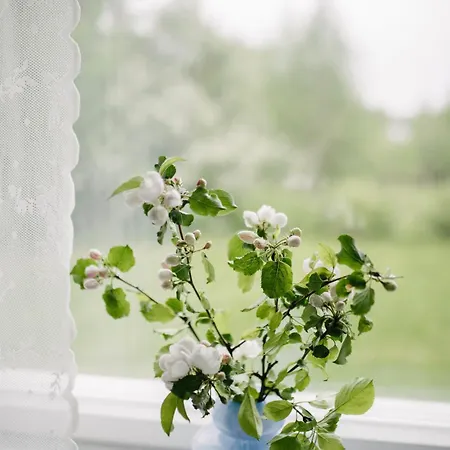 Jennin Majatalo Reisjärvi