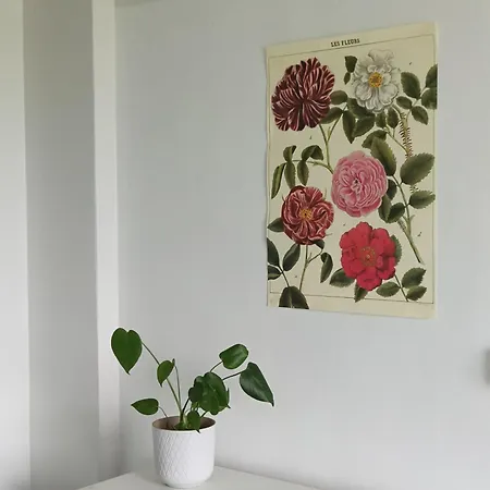 Hostel Jennin Majatalo