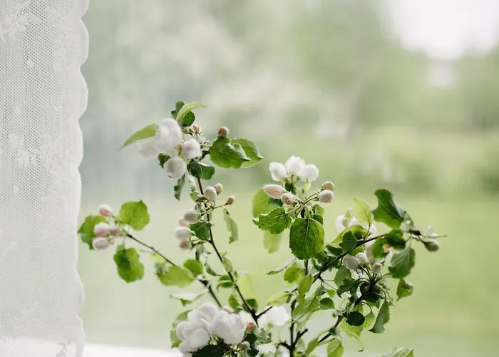 Jennin Majatalo Reisjärvi